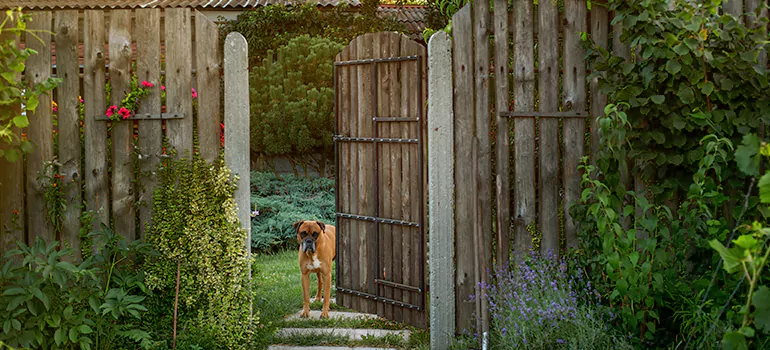 Winter Garden Garage Door Repair in Wekiwa Springs,[location field=state]
